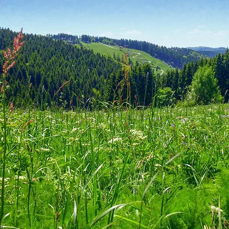 Ferienhauspark Casa vacanze Hasselfelde