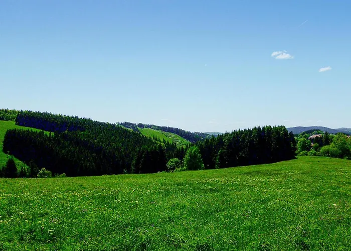 펜션 Ferienhauspark *