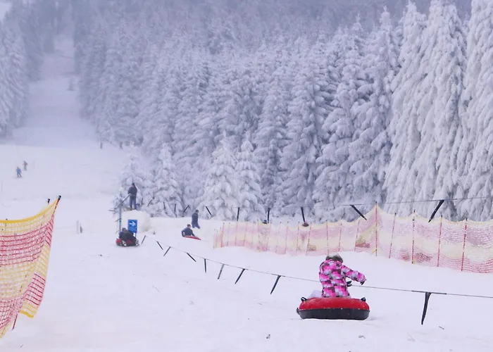 펜션 Ferienhauspark *