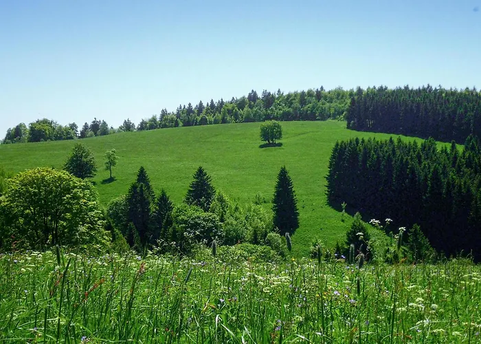 펜션 Ferienhauspark *