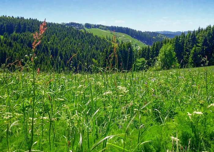 Ferienhauspark 펜션 하셀펠데